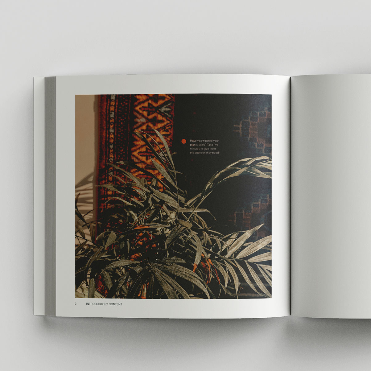'just a minute' open book spread